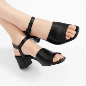 Everlane Leather Double-Strap Block Heel Sandal 10